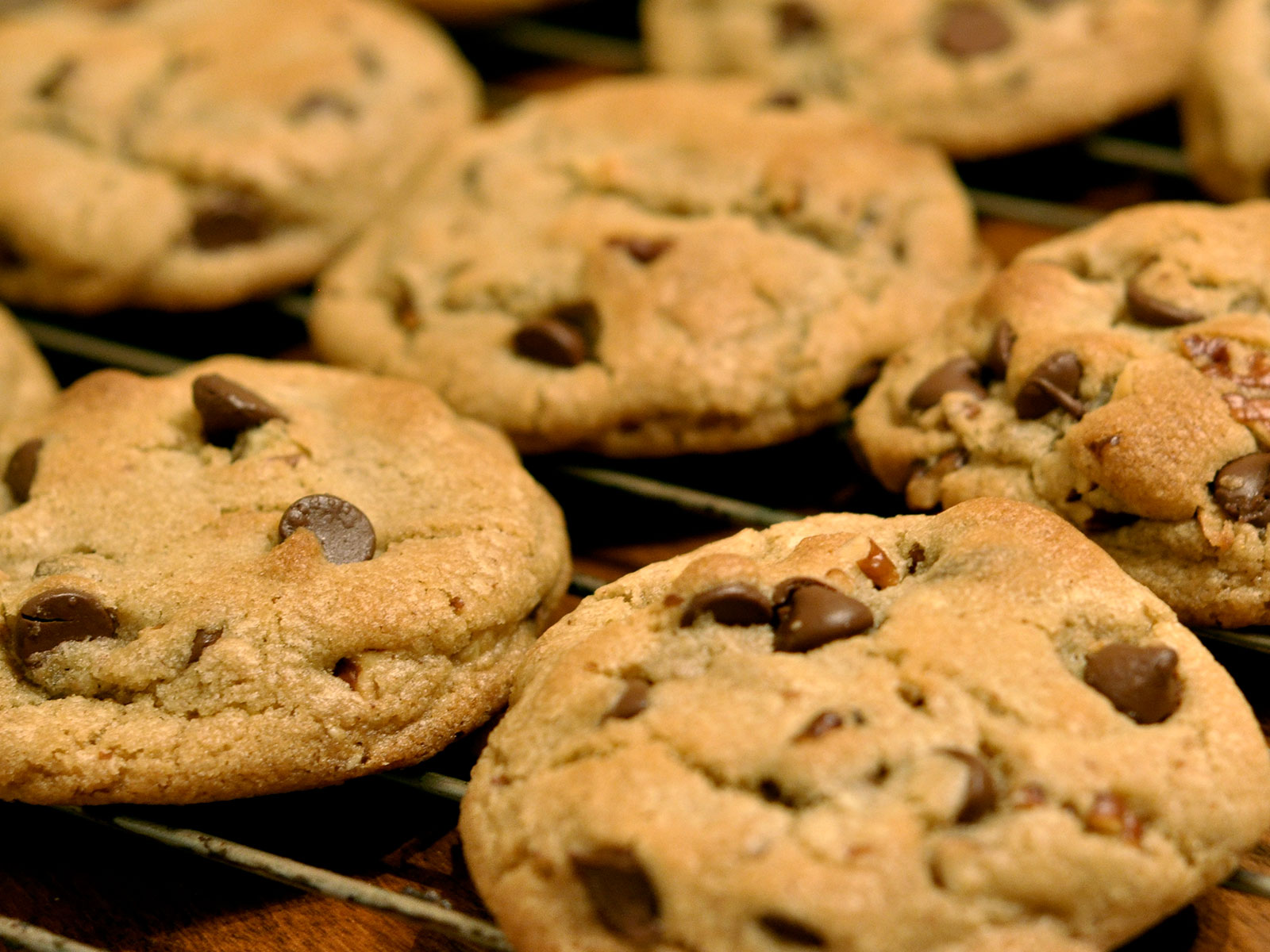 An image of chocolate chip cookies